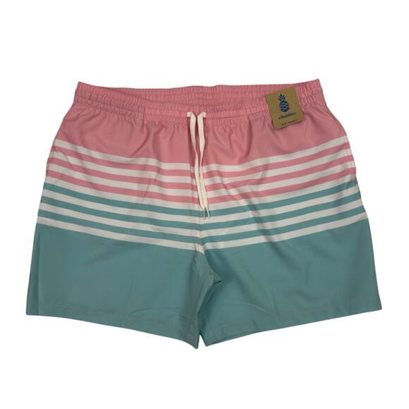 Chubbies The On The Horizons Swim Trunks XXL 5.5” Inseam Pink Teal Stripe NWT - Picture 1 of 12